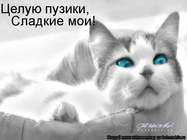 Целую пузики, Сладкие мои!... Котоматрица: Целую пузики, Сладкие мои!