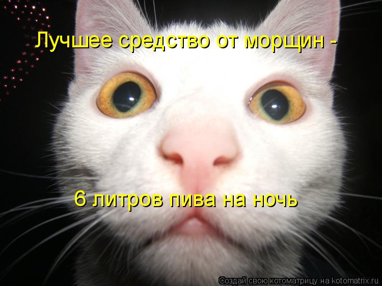 Лучшее средство от морщин - 6 литров пива на ночь... Котоматрица: Лучшее средство от морщин - 6 литров пива на ночь