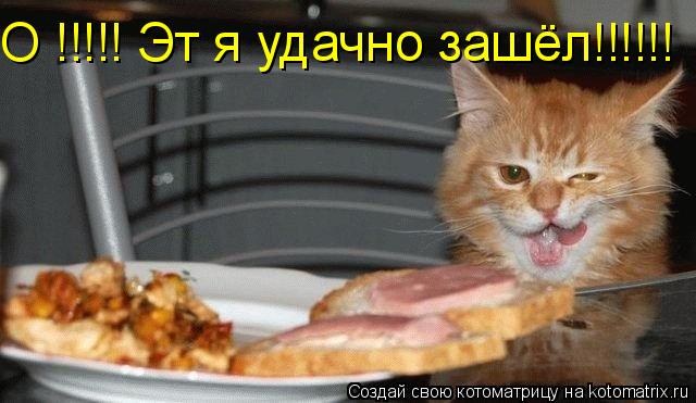 О !!!!! Эт я удачно зашёл!!!!!!... Котоматрица: О !!!!! Эт я удачно зашёл!!!!!!