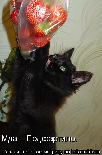 Котоматрица: Мда... Подфартило..