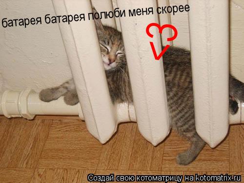 Котоматрица: батарея батарея полюби меня скорее <3