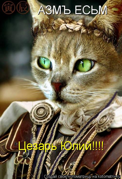 Котоматрица: АЗМЪ ЕСЬМ Цезарь Юлий!!!!