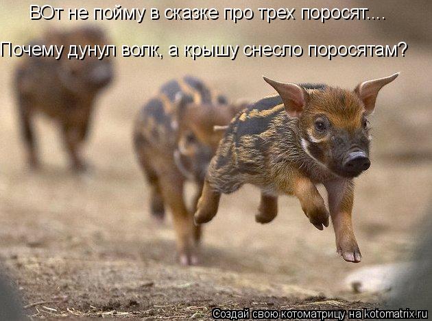 Котоматрица: ВОт не пойму в сказке про трех поросят.... Почему дунул волк, а крышу снесло поросятам?