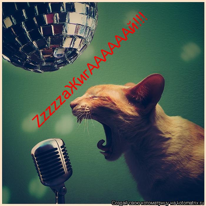 Котоматрица: ZzzzzzzaЖигААААААй!!!!!!!!!!!!!!!! ZzzzzzzaЖигААААААй!!! ZzzzzaЖигААААААй!!!
