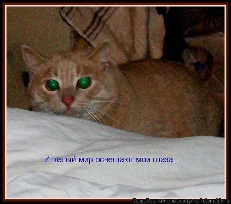 Котоматрица: И целый мир освещают мои глаза...