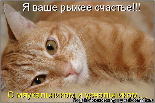 Котоматрица: Я ваше рыжее счастье!!! С мяукальником и урчальником....