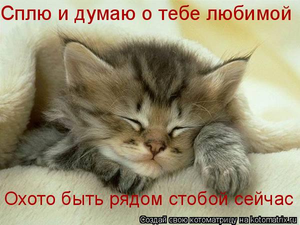 Котоматрица: Сплю и думаю о тебе люимой охото быть рядом стобой сейчас! Сплю и думаю о тебе люимой охото быть рядом стобой сейчас! Сплю и думаю о тебе люби