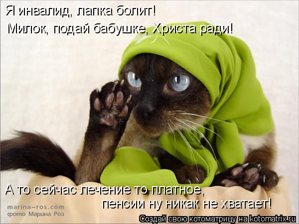 Котоматрица: Я инвалид, лапка болит! Милок, подай бабушке, Христа ради! А то сейчас лечение то платное,  пенсии ну никак не хватает!
