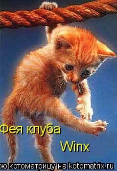 Котоматрица: Фея клуба Winx