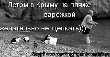 Котоматрица: Летом в Крыму на пляже варежкой  желательно не щелкать)))