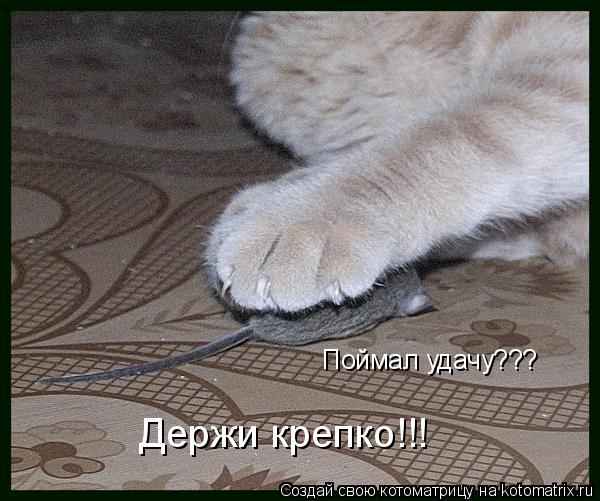 Котоматрица: Поймал удачу??? Держи крепко!!!