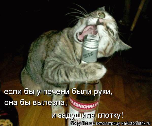 если бы у печени были руки, она бы вылезла, и задушила глотку!... Котоматрица: если бы у печени были руки, она бы вылезла, и задушила глотку!