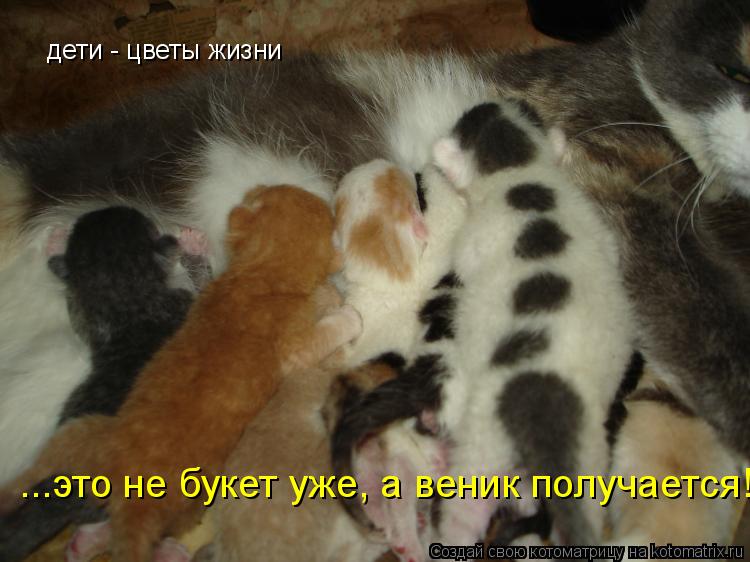 дети - цветы жизни ...это не букет уже, а веник получается!!!!... Котоматрица: дети - цветы жизни ...это не букет уже, а веник получается!!!!