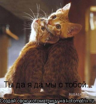 Котоматрица: Ты да я да мы с тобой...