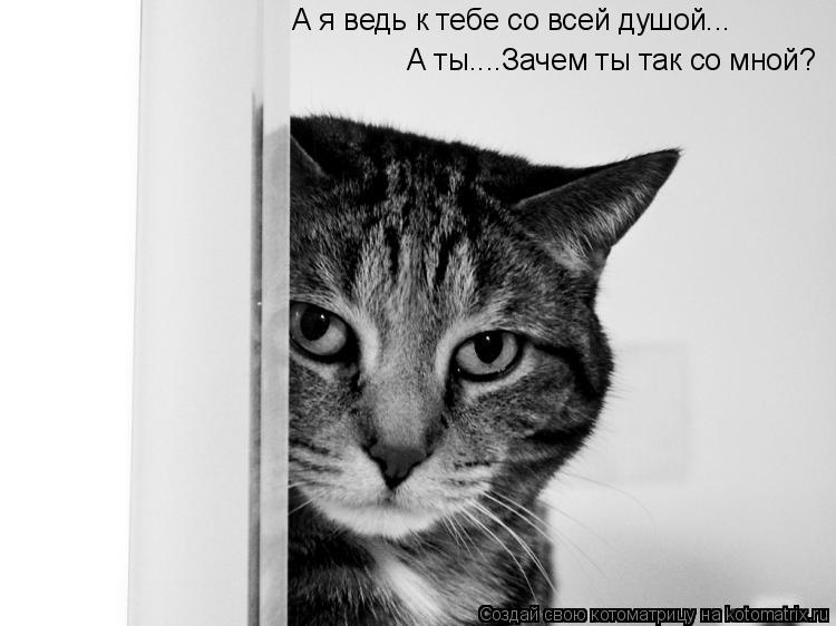 Котоматрица: А я ведь к тебе со всей душой... А ты....Зачем ты так со мной?