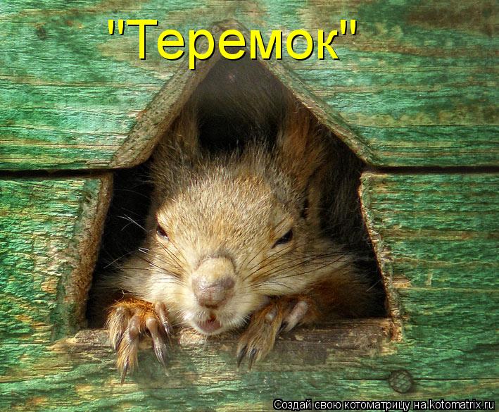 "Теремок"... Котоматрица: "Теремок"