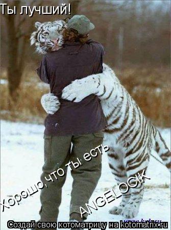 Котоматрица: Ты лучший! Хорошо,что ты есть ANGELOCIK
