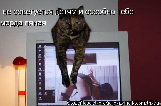 Котоматрица: не советуется детям и оссобно тебе   морда пяная