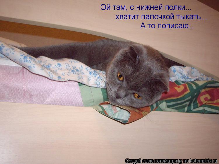 Котоматрица: Эй там, с нижней полки... хватит палочкой тыкать... А то пописаю...
