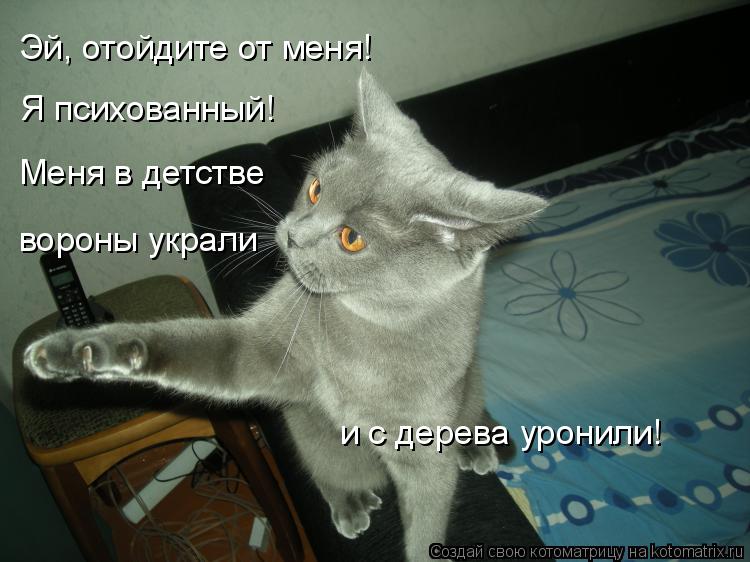Котоматрица: Эй, отойдите от меня! Я психованный! Меня в детстве  вороны украли и с дерева уронили!