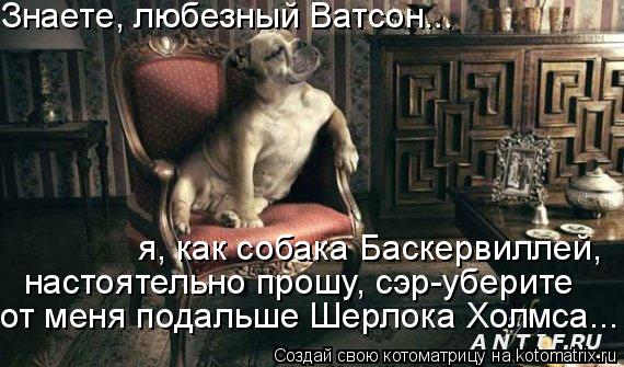 Котоматрица: Знаете, любезный Ватсон... я, как собака Баскервиллей,  настоятельно прошу, сэр-уберите от меня подальше Шерлока Холмса...
