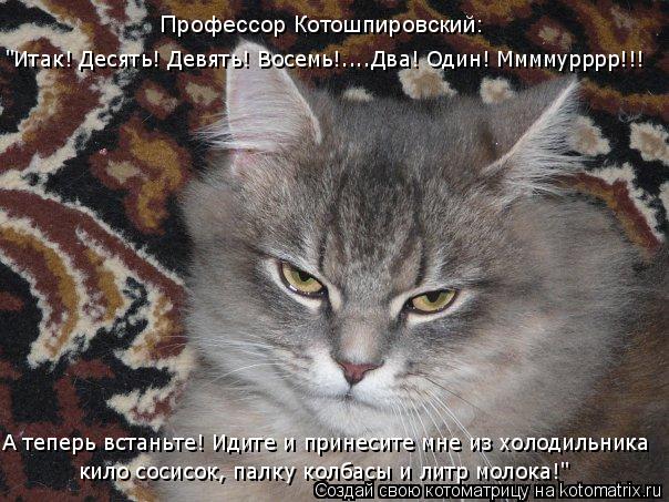 Котоматрица: Профессор Котошпировский: "Итак! Десять! Девять! Восемь!....Два! Один! Ммммурррр!!! кило сосисок, палку колбасы и литр молока!" А теперь встаньте