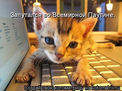 Котоматрица: Запутался во Всемирной Паутине.