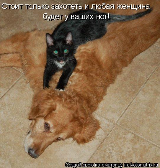 Стоит только захотеть и любая женщина будет у ваших ног!... Котоматрица: Стоит только захотеть и любая женщина будет у ваших ног!
