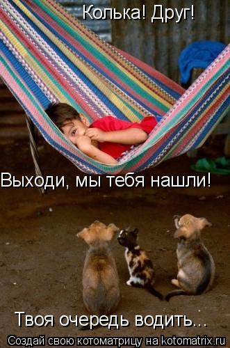 Котоматрица: Колька! Друг! Выходи, мы тебя нашли! Твоя очередь водить...