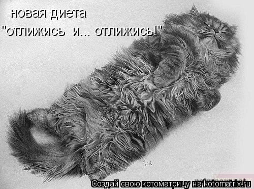 Котоматрица: новая диета "отлижись  и... отлижись!"