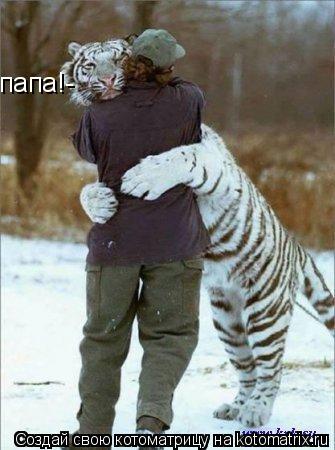 Котоматрица: папа!-