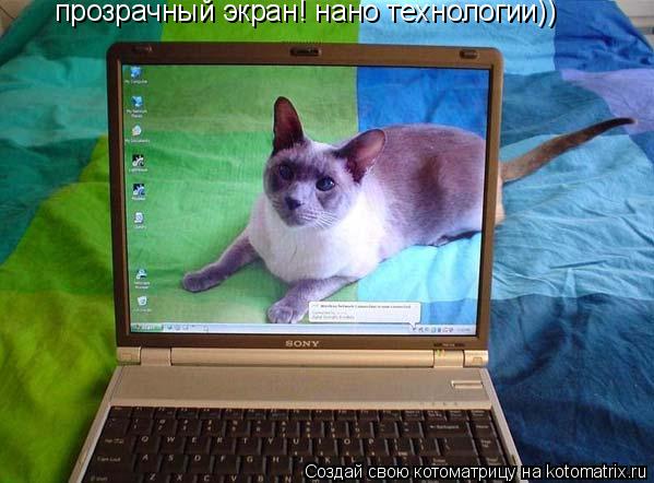 Котоматрица: прозрачный экран! нано технологии))