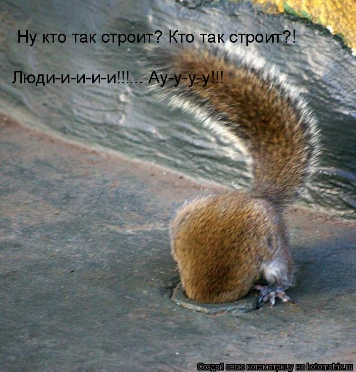 Котоматрица: Ну кто так строит? Кто так строит?! Люди-и-и-и-и!!!... Ау-у-у-у!!!