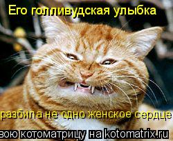 Котоматрица: Его голливудская улыбка разбила не одно женское сердце