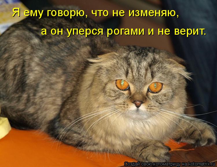Я ему говорю, что не изменяю, а он уперся рогами и не верит.... Котоматрица: Я ему говорю, что не изменяю, а он уперся рогами и не верит.