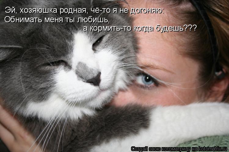 Эй, хозяюшка родная, чё-то я не догоняю: Обнимать меня ты любишь, а кормить-то когда будешь???... Котоматрица: Эй, хозяюшка родная, чё-то я не догоняю: Обнимать меня ты любишь, а кормить-то когда будешь???