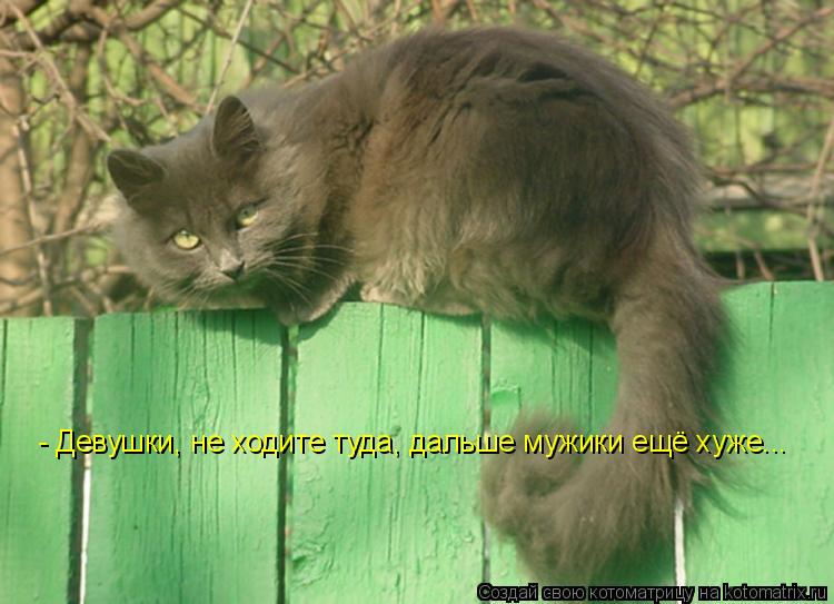 - Девушки, не ходите туда, дальше мужики ещё хуже...... Котоматрица: - Девушки, не ходите туда, дальше мужики ещё хуже...