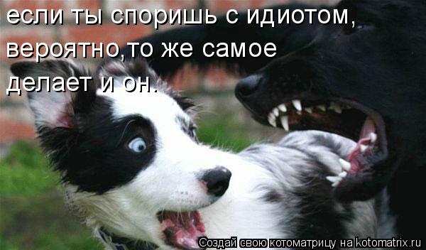 делает и он. если ты споришь с идиотом, вероятно,то же самое... Котоматрица: делает и он. если ты споришь с идиотом, вероятно,то же самое