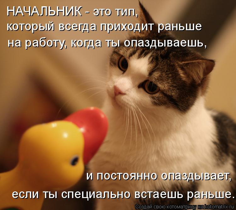 НАЧАЛЬНИК - это тип, который всегда приходит раньше на работу, когда ты опаздываешь, и постоянно опаз... Котоматрица: НАЧАЛЬНИК - это тип, который всегда приходит раньше на работу, когда ты опаздываешь, и постоянно опаздывает, если ты специально встаешь рань