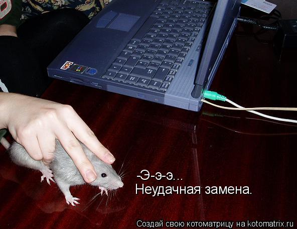 Котоматрица: -Э-э-э... Неудачная замена.
