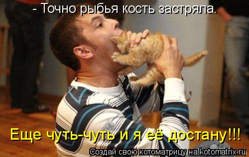 Котоматрица: - Точно рыбья кость застряла. Еще чуть-чуть и я её достану!!!