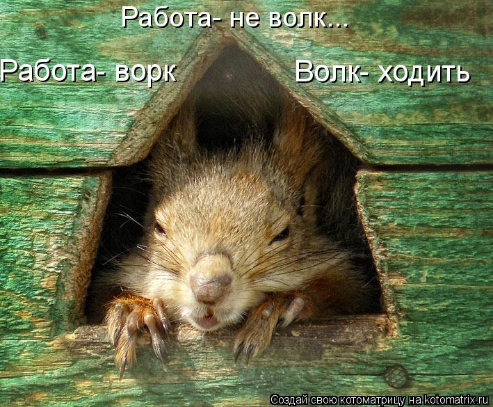 Работа- ворк Волк- ходить Работа- не волк...... Котоматрица: Работа- ворк Волк- ходить Работа- не волк...