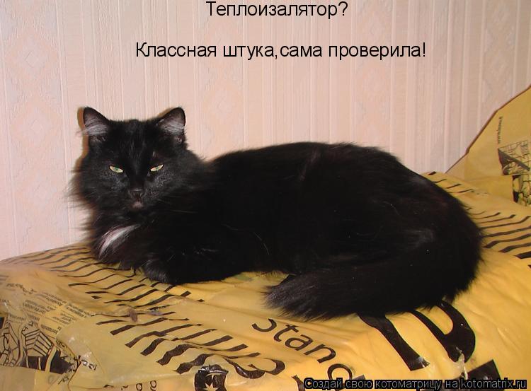 Котоматрица: Теплоизалятор? Классная штука,сама проверила!