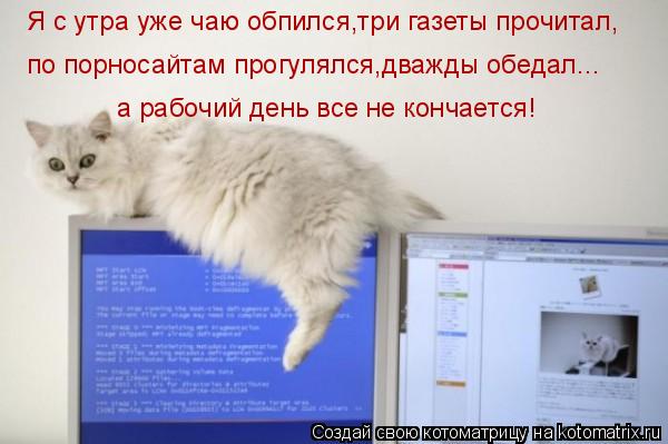 Я с утра уже чаю обпился,три газеты прочитал, по порносайтам прогулялся,дважды обедал... а рабочий де... Котоматрица: Я с утра уже чаю обпился,три газеты прочитал, по порносайтам прогулялся,дважды обедал... а рабочий день все не кончается!