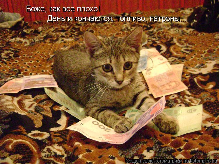 Котоматрица: Боже, как все плохо!  Деньги кончаются, топливо, патроны...