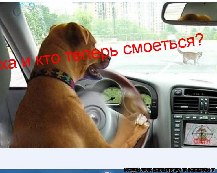 Котоматрица: ха и кто теперь смоеться?