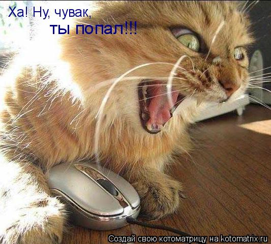 Ха! Ну, чувак, ты попал!!!... Котоматрица: Ха! Ну, чувак, ты попал!!!