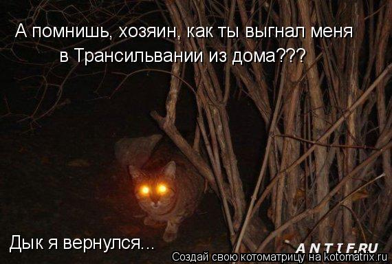 Котоматрица: А помнишь, хозяин, как ты выгнал меня в Трансильвании из дома??? Дык я вернулся...
