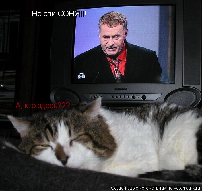 Котоматрица: Не спи СОНЯ!!! А, кто здесь???