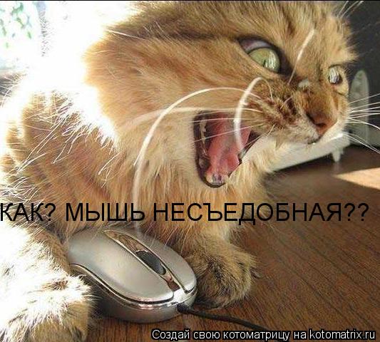 Котоматрица: КАК? МЫШЬ НЕСЪЕДОБНАЯ??